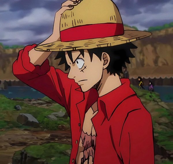Luffy meme (2)