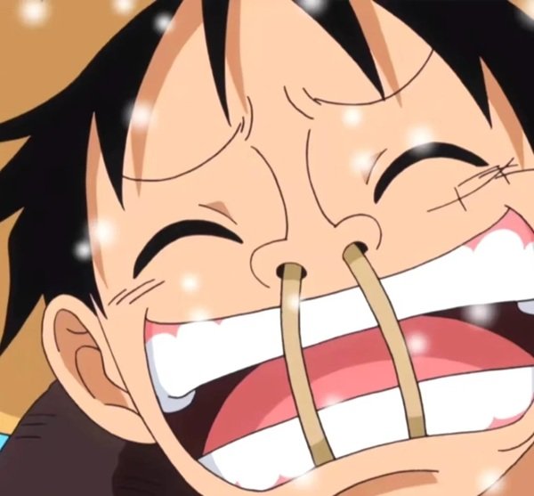 Luffy meme (20)
