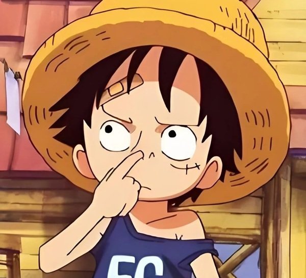 Luffy meme (21)