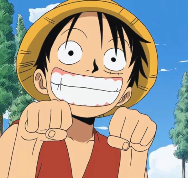 Luffy meme (27)