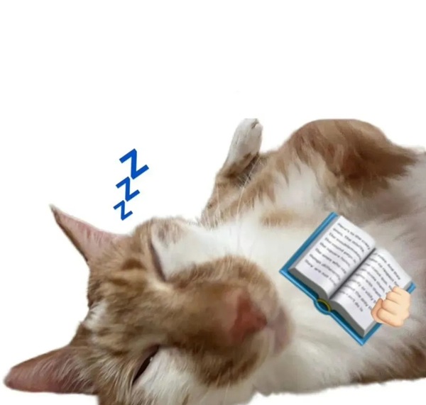 Meme học bài (21)