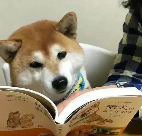 Meme học bài (31)