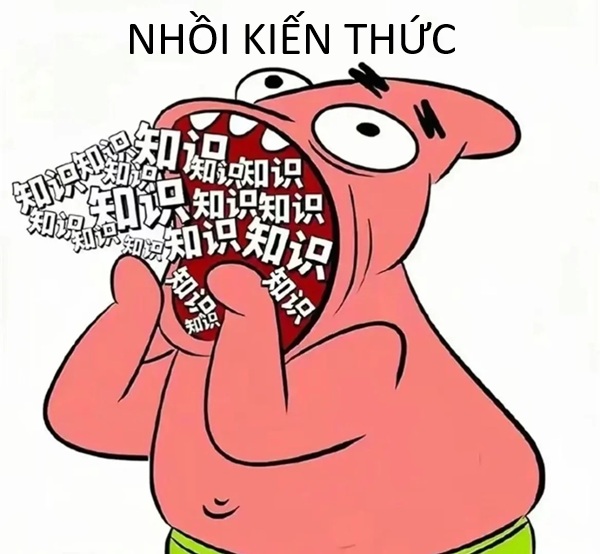 Meme học bài (7)