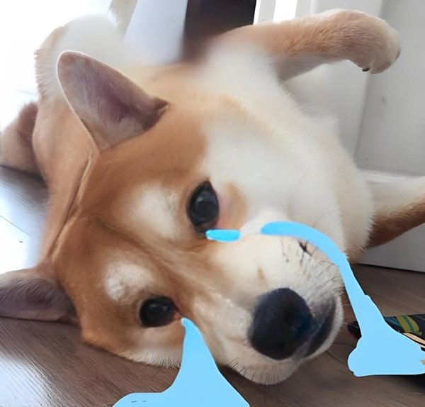 ảnh meme buồn 39