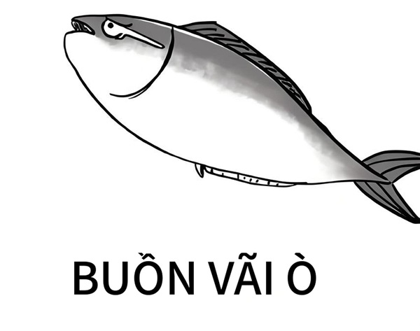 cá meme 37