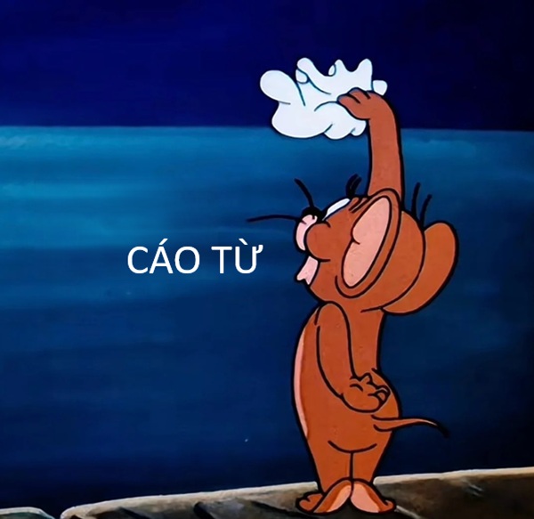 cáo từ meme (10)