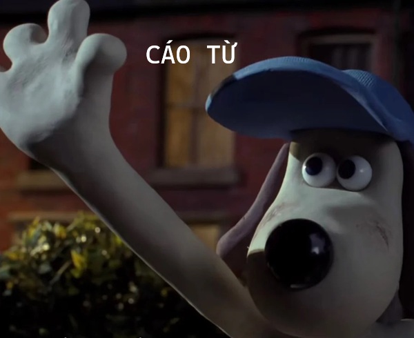 cáo từ meme (12)