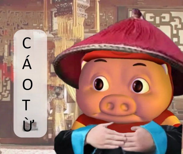 cáo từ meme (5)