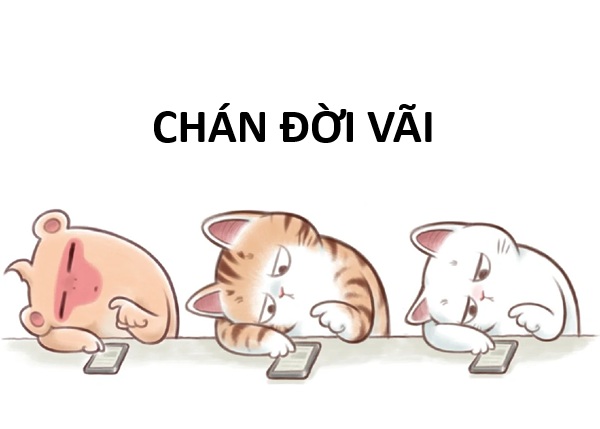 chán meme 12