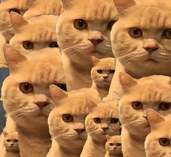 coi chừng tao meme 11