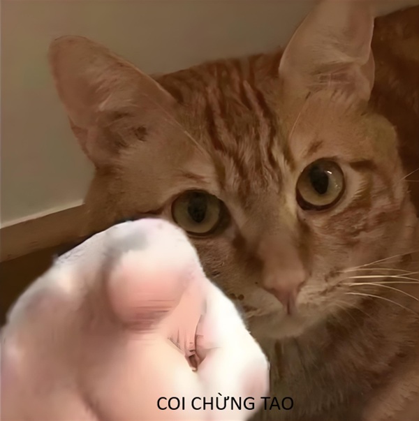 coi chừng tao meme 26