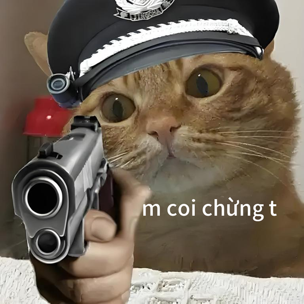coi chừng tao meme 28