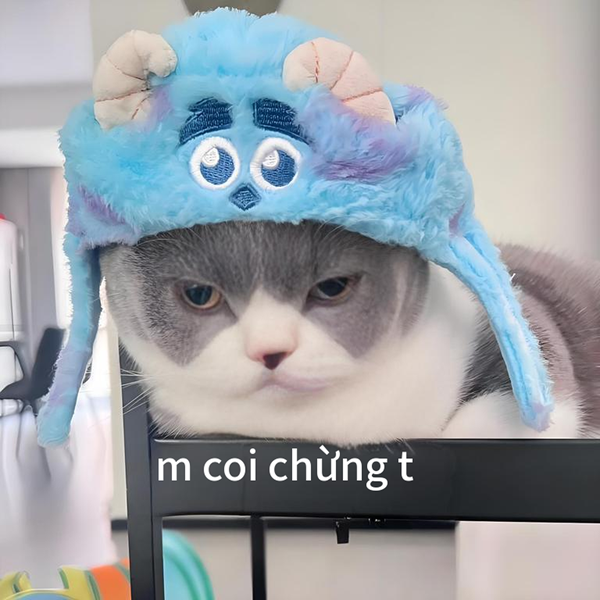 coi chừng tao meme 29