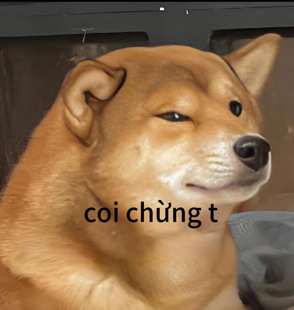 coi chừng tao meme 32