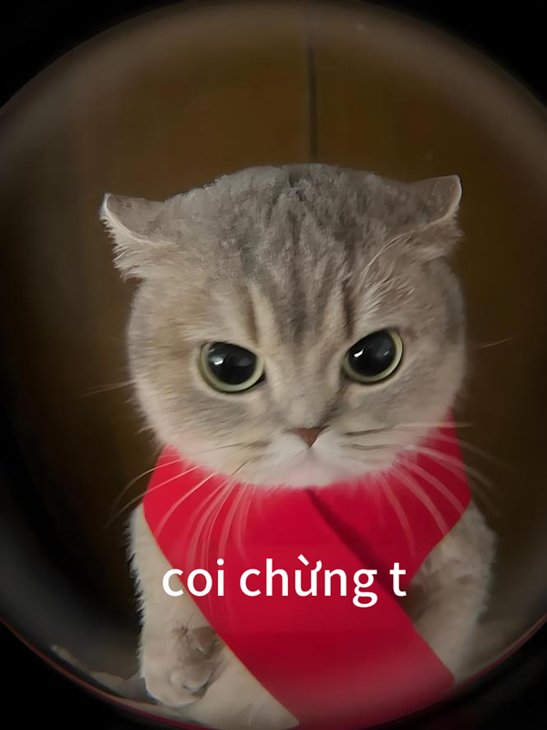 coi chừng tao meme 6