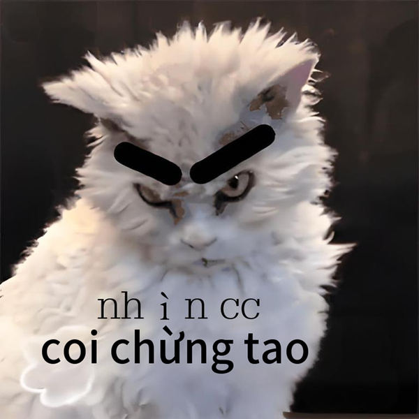 coi chừng tao meme 7