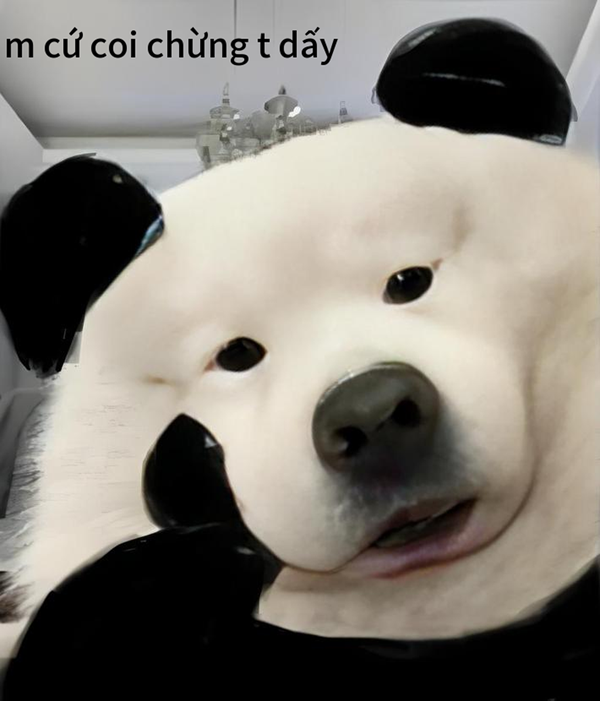 coi chừng tao meme 9