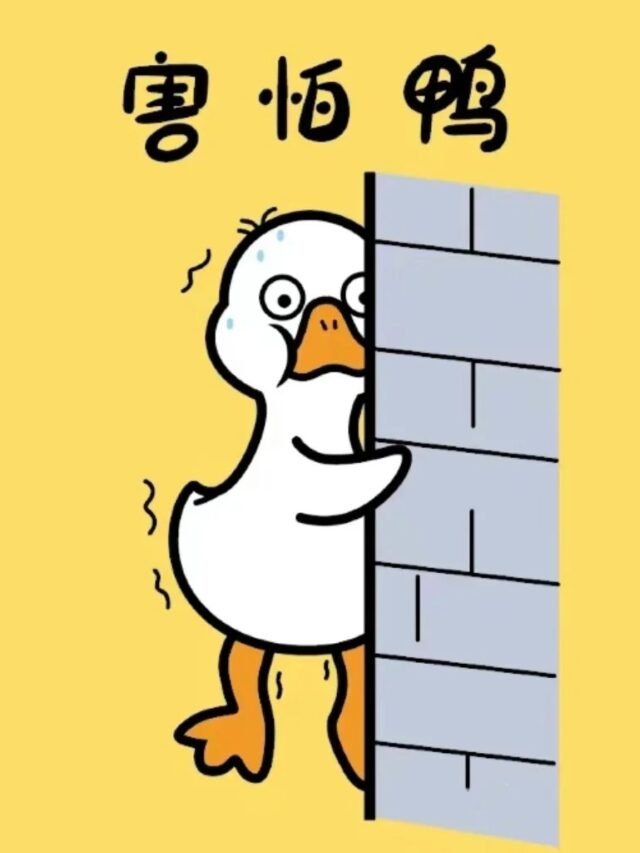 meme hoảng hốt 24