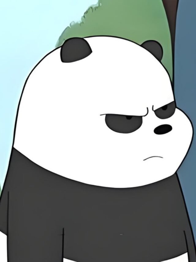 meme tức giận 24