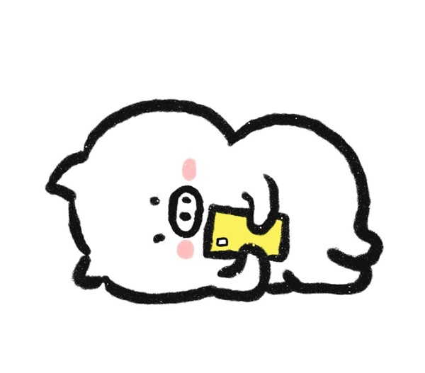 heo meme 29