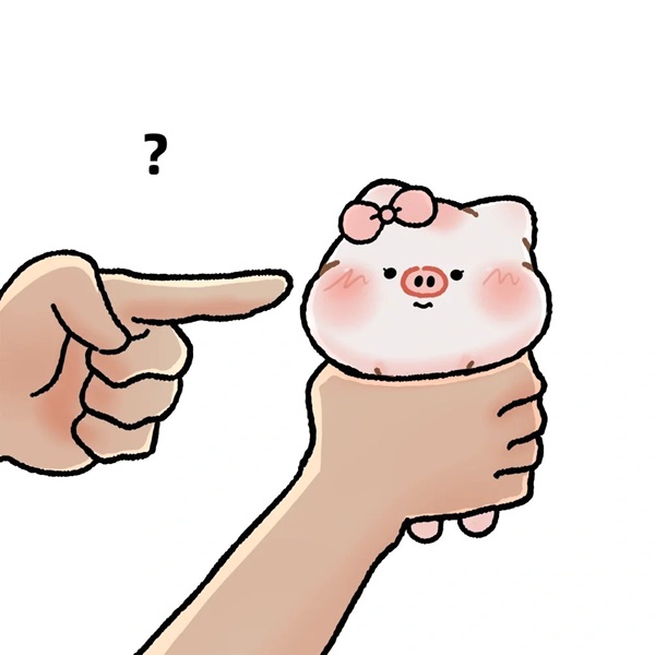 heo meme 6