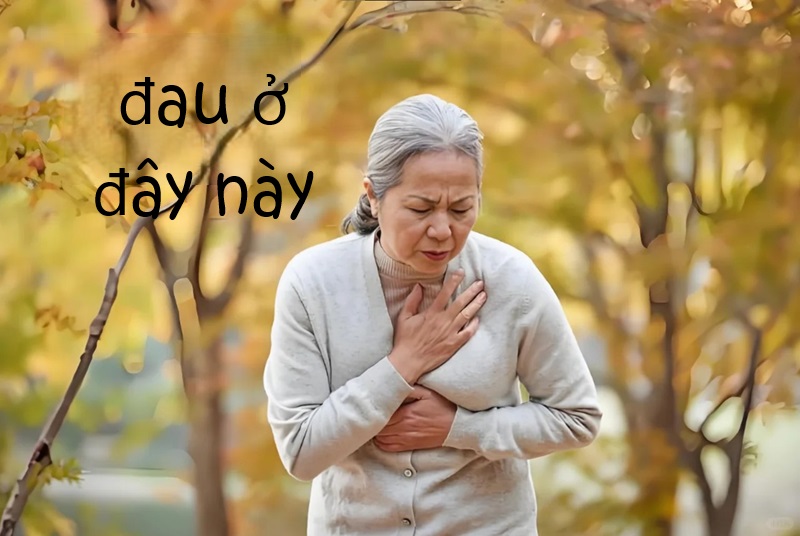hình meme đau ở đây này
