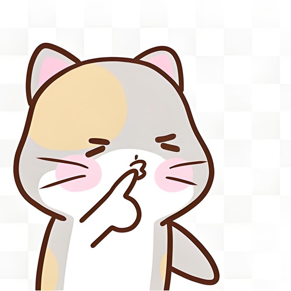 im lặng meme 15