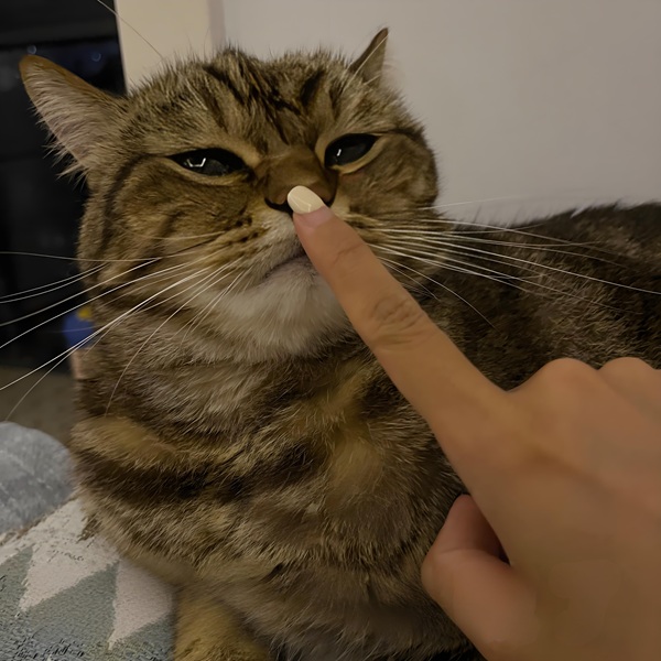 im lặng meme 3