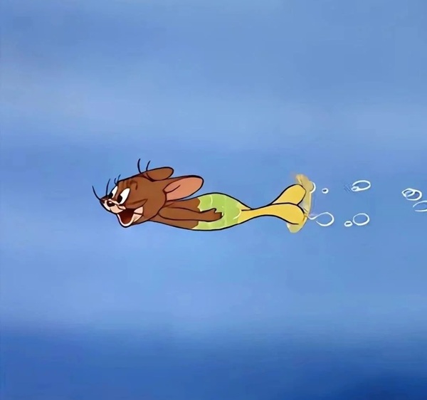 jerry meme 11