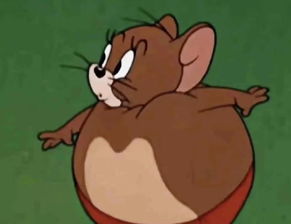 jerry meme 16