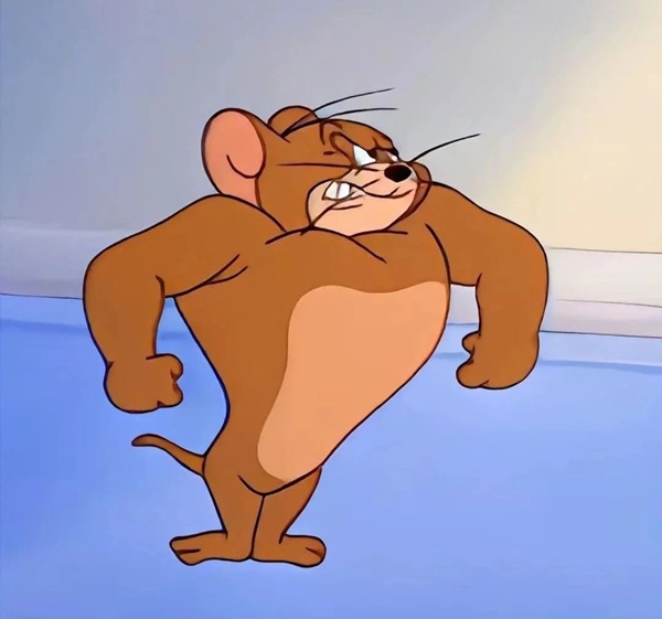 jerry meme 7