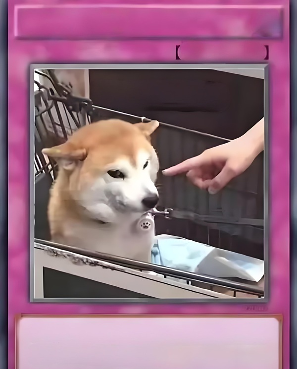 lá bài meme (24)