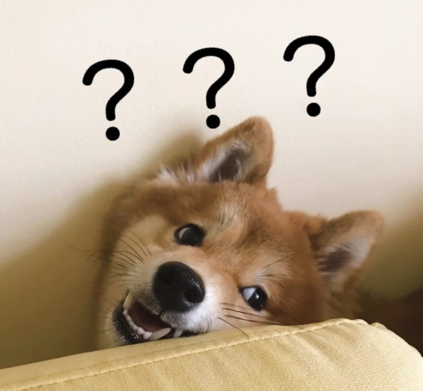 meme Shiba (11)