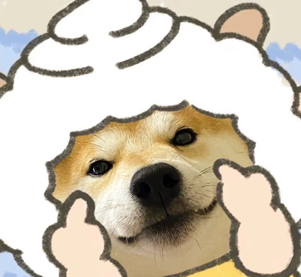 meme Shiba (19)