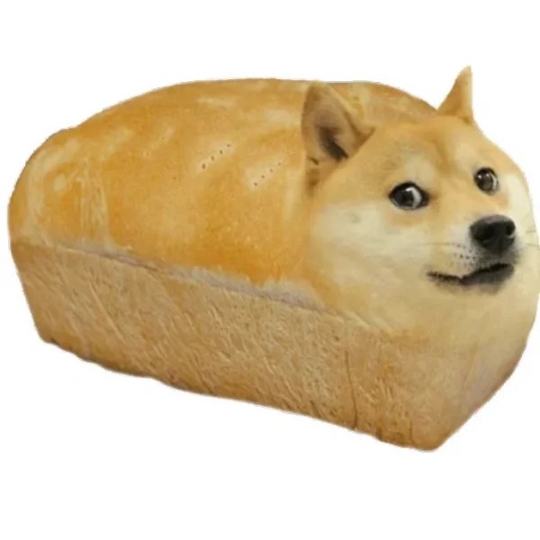 meme Shiba (27)