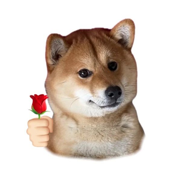 meme Shiba (7)