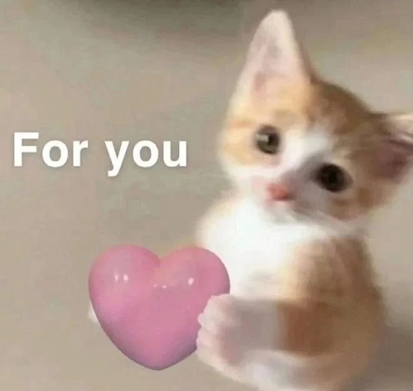 meme bắn tim 27