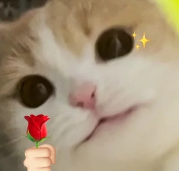 meme bất ngờ 14