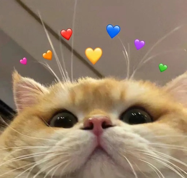 meme bất ngờ 28