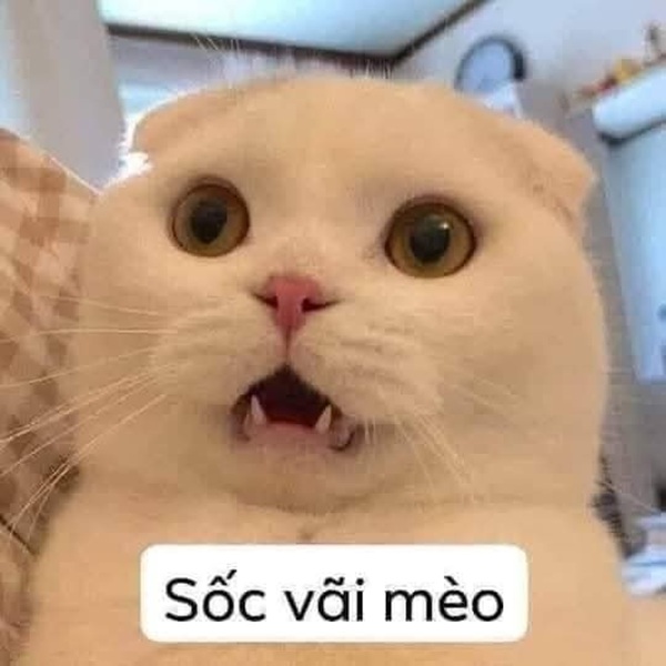 meme bất ngờ 32