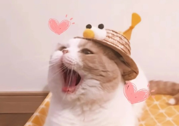 meme bất ngờ 8