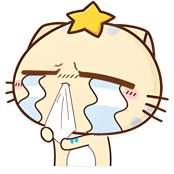 meme cảm động (34)
