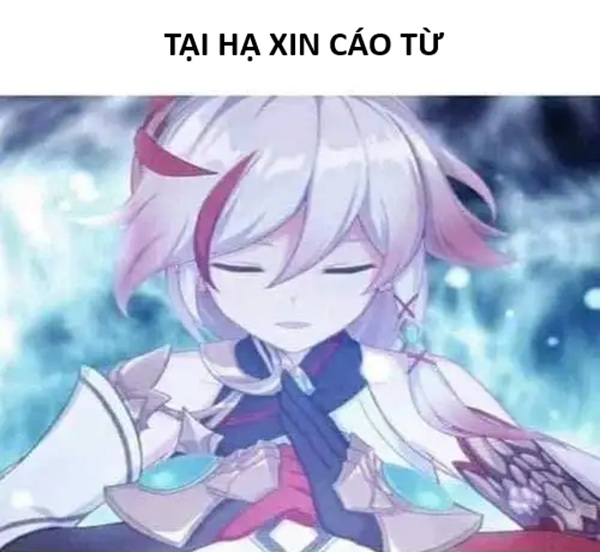 meme cáo từ