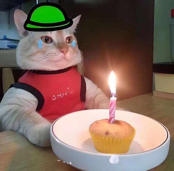 meme chúc mừng sinh nhật (34)