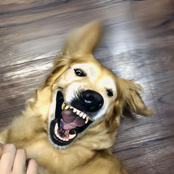 meme cười đểu 19