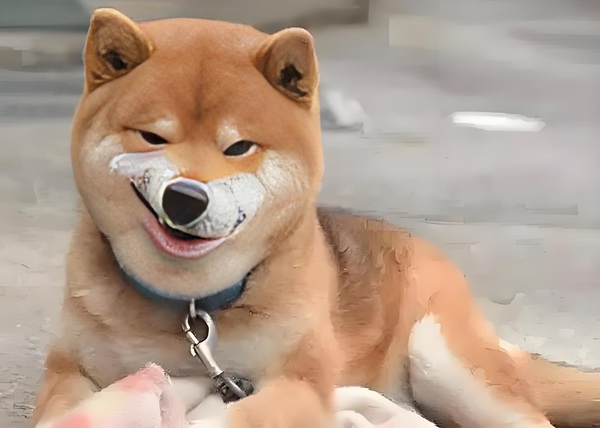 meme cười đểu 34