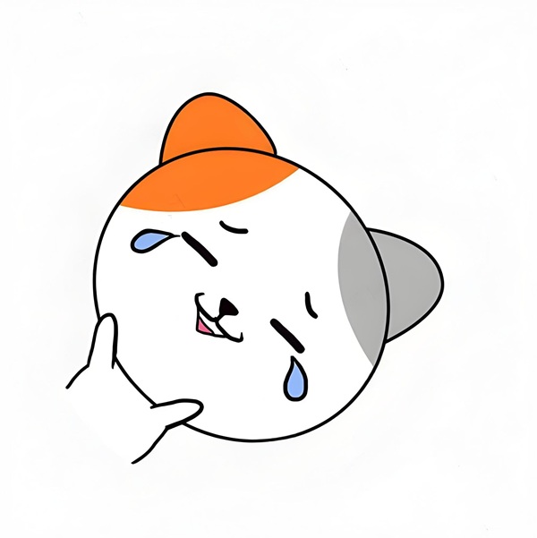 meme cười khóc 31