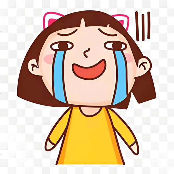 meme cười khóc 8