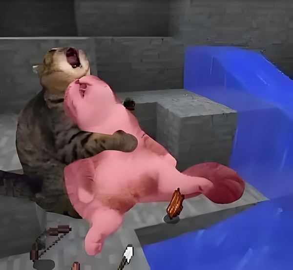 meme dâm 4