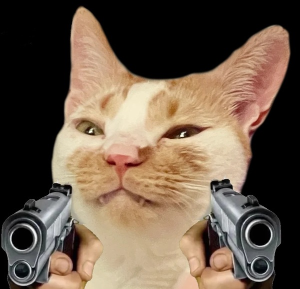 meme đánh nhau 20